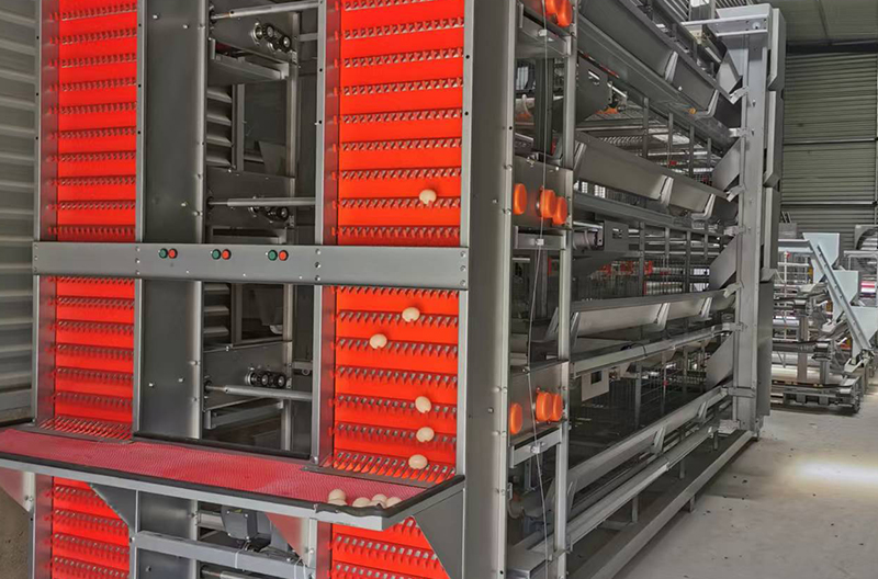 EGGS COLLECTING SYSTEM