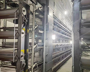 Automated breeding equipment for raising chickens requires standardization