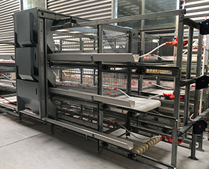 Suggestions for raising chickens with broiler farming equipment