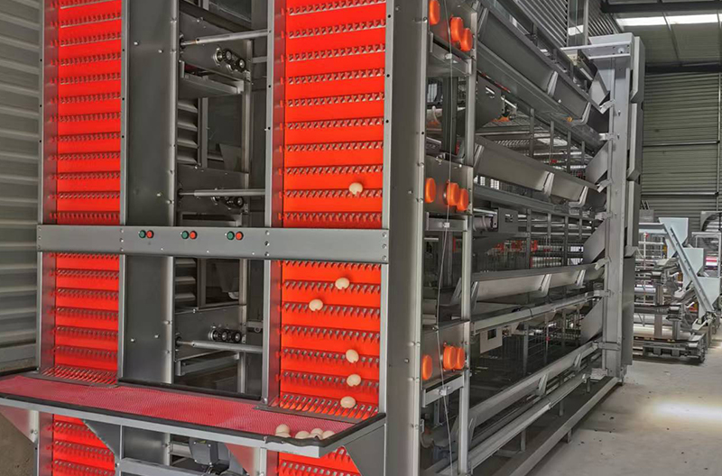 Stacked laying hen cage