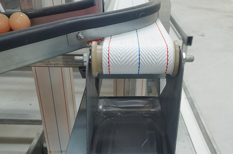 A Type Layer Breeding Equipment