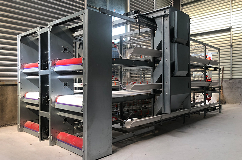 Double-row back-to-back broiler cage