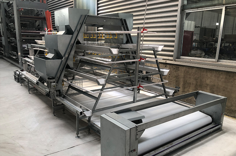 阶梯式蛋鸡设备